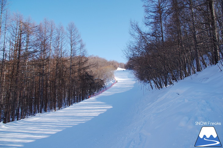 北海道スキー場巡り vol.4 ～比布町ぴっぷスキー場・東川町キャンモアスキービレッジスキー場～